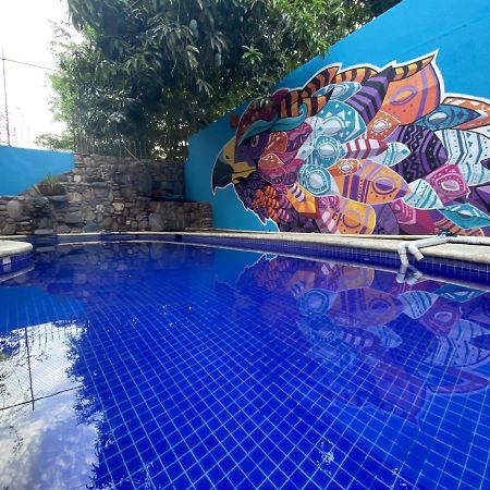 Wandering Monkey Guesthouse 마사틀란 외부 사진