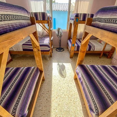 Wandering Monkey Guesthouse 마사틀란 외부 사진