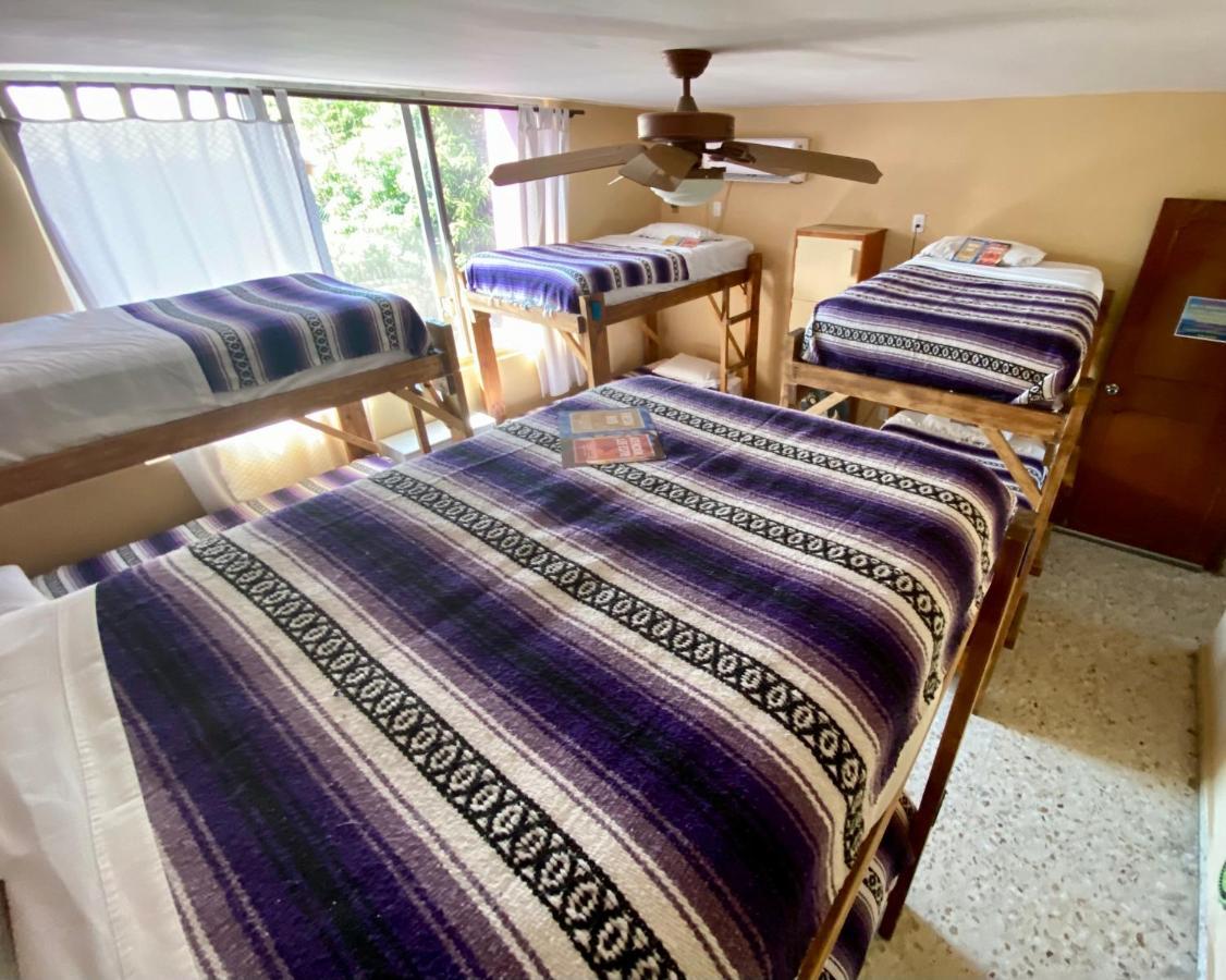 Wandering Monkey Guesthouse 마사틀란 외부 사진
