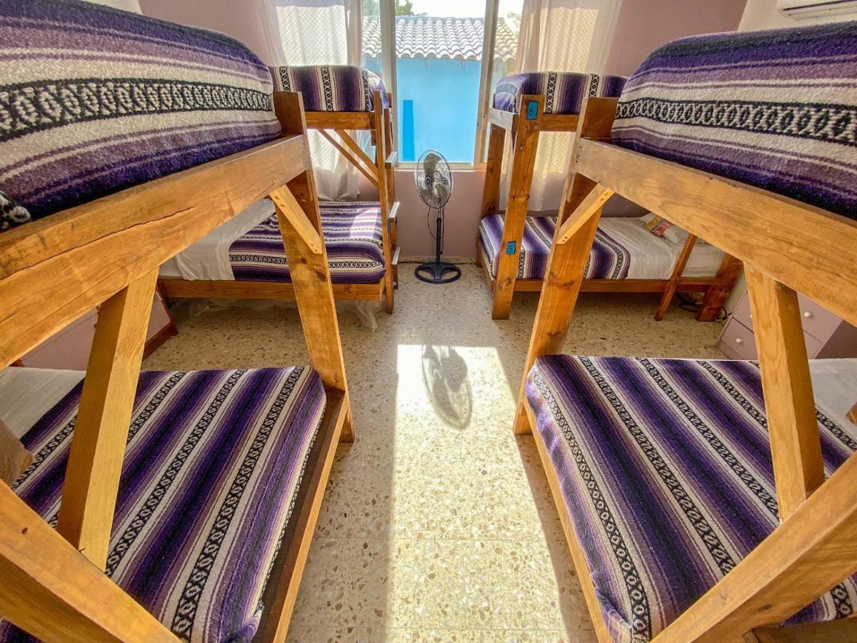 Wandering Monkey Guesthouse 마사틀란 외부 사진